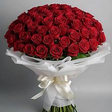 Букет 101 Красная роза Блэк Мэджик в Кировграде