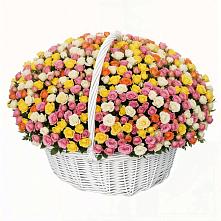 Премиум букет из: Розы в Кировграде