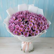 Букет цветов из:  Хризантемы в Кировграде