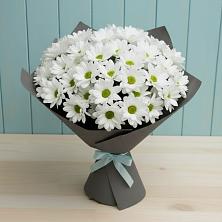 Букет цветов из:  Хризантемы в Кировграде