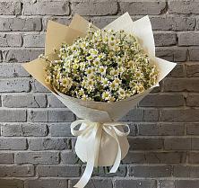 Букет цветов из:  Ромашки в Кировграде
