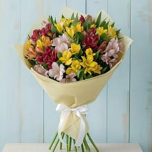 Букет цветов из:  Альстромерии в Кировграде