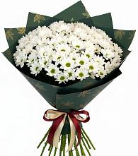 Букет цветов из:  Хризантемы в Кировграде
