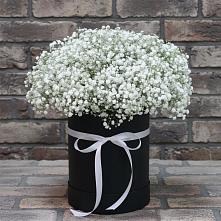 Цветочная композиция из Гипсофила в шляпной коробке #REPLACE_PRED# Кировграде