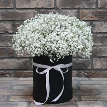 Цветочная композиция из Гипсофила в шляпной коробке в Кировграде