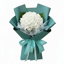 Букет цветов из:  Гортензия в Кировграде
